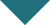 arrow-bottom1 arrow-bottom1